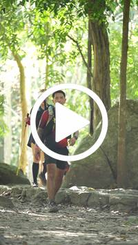 BIB:  <button type="button" onclick="openModal(28103067)" class="btn btn-primary btn-sm float-right" data-toggle="modal" data-target=".modal-high-quality">
                <i class="fa fa-download"></i> Download
                </button>